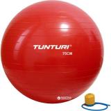 Tunturi Gymball 75cm (14TUSFU282) -  1