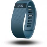 Fitbit Charge (Large/Slate) -  1