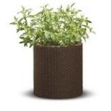 Keter   Cylinder Planter Small Brown -  1