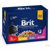 Brit Premium    4  1,2  (100278/506255) -  1
