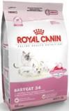 Royal Canin Babyat 34 10  -  1