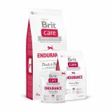 Brit Care Endurance 3  -  1