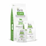 Brit Care Grain-free Adult Large Breed Salmon & Potato 3  -  1