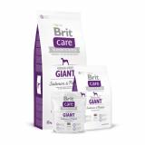Brit Care Grain-free Giant Salmon & Potato 12  -  1