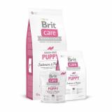 Brit Care Grain-free Puppy Salmon & Potato 12  -  1