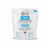 Brit Care Grain-free Junior Large Breed Salmon & Potato 12  -  1