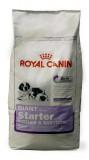 Royal Canin Giant Starter 15  -  1