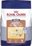 Royal Canin Labrador Retriever Adult 12  -  1
