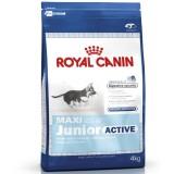 Royal Canin Maxi Junior Active 4  -  1