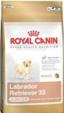 Royal Canin Labrador Retriever Junior 3  -  1