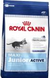 Royal Canin Maxi Junior Active 15  -  1
