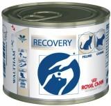 Royal Canin Recovery 0,195  -  1