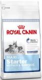 Royal Canin Maxi Starter 1  -  1