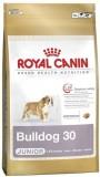 Royal Canin Bulldog Junior 12  -  1