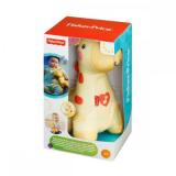 Fisher-Price -  (BFH65) -  1