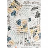 Cheap-art    Allegro 30,844 , 45 /2 (69201513) -  1
