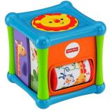 Fisher-Price     (BFH80) -  1