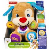 Fisher-Price     Smart Stages ( ) (DKK14) -  1