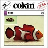 Cokin P 036 -  1