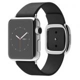 Apple 38mm Stainless Steel Case with Black Modern Buckle (MJYL2) -  1